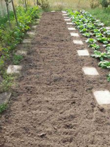 Freie Beetfläche im Nutzgarten. Die optimale Beetnutzung