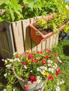 Bauerngarten bei Nadja