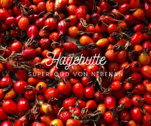 Hagebutte – Das Superfood von Nebenan