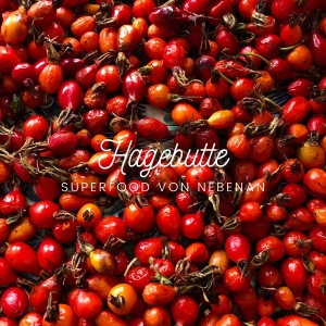 Hagebutte – Das Superfood von Nebenan