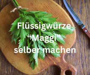 „Maggi“ selber machen – mein Lieblingsrezept