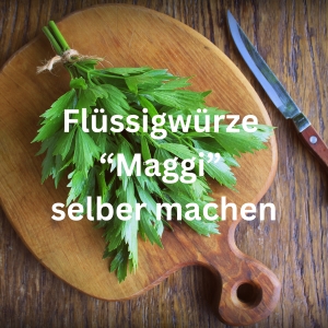 Flüssigwürze "Maggi" selber machen