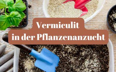 Vermiculit in der Pflanzenanzucht