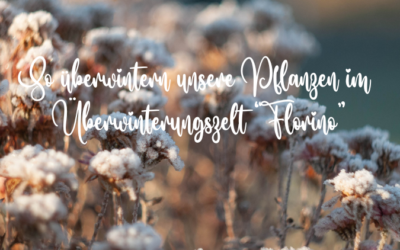 Florino Überwinterungszelt im Test